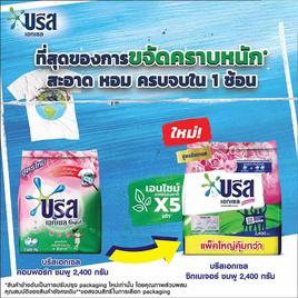 บรีส ผงซักฟอก เอกเซลซิกเนเจอร์ ชมพู 2400 กรัม - บรีส, Coupon